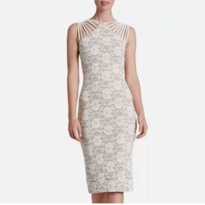 Dress the Population Gwen Lace Midi Lace Sheath Dress Nude/Ivory